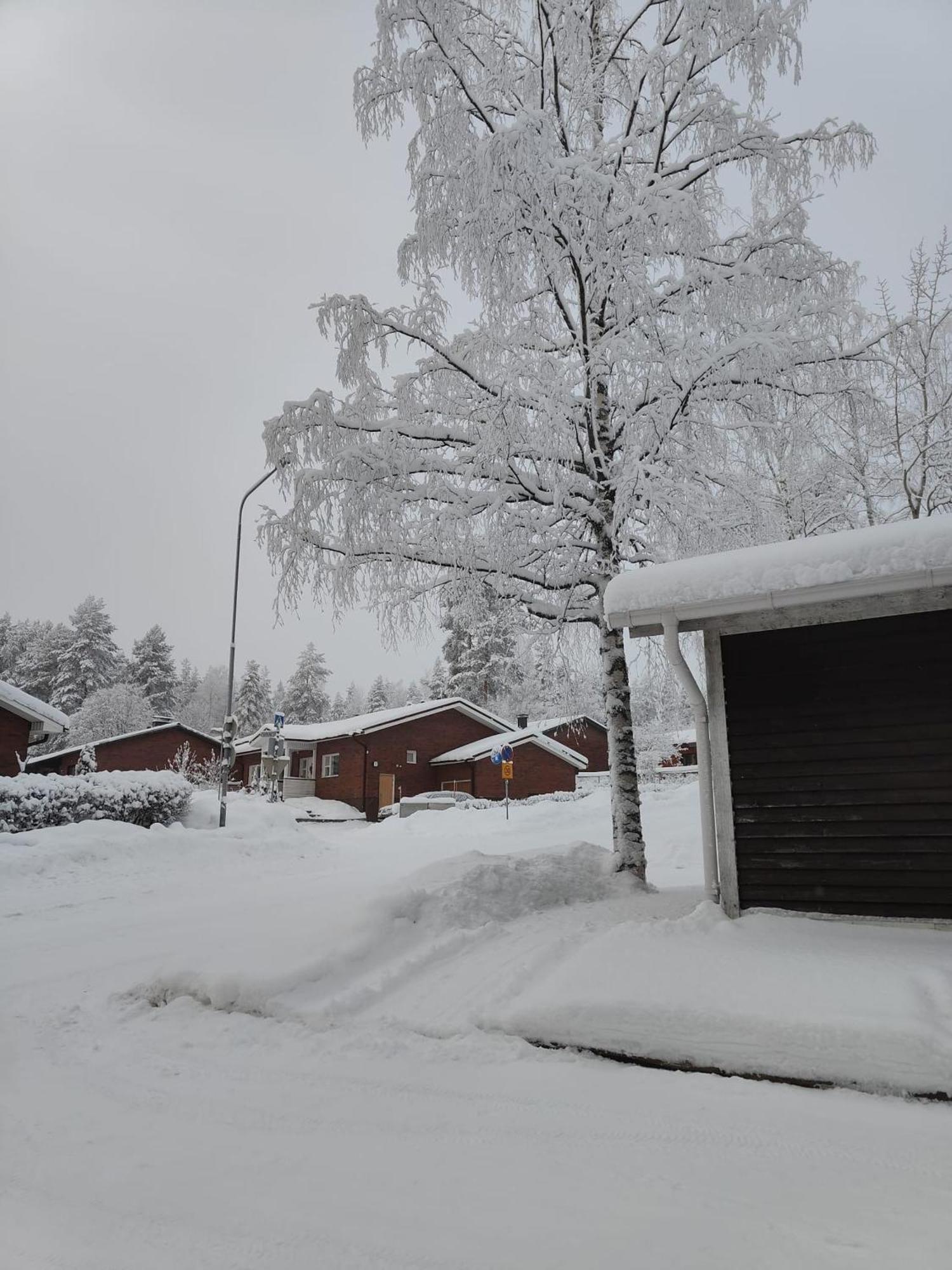Cozy Forest Retreat In Kuopio - Perfect For Families Work Trips Exterior photo